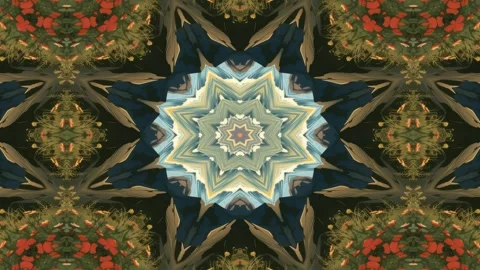 A symmetrical, abstract design featuring a central floral motif and radiati.. Stock Footage 292594813