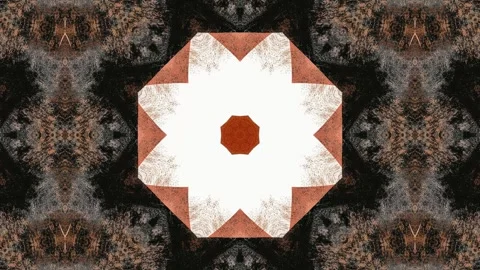 A symmetrical abstract design featuring circular shapes in warm tones and a.. Stock Footage 292595401