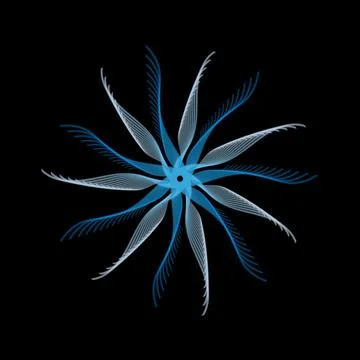 Symmetrical abstract flower-like pattern with twelve curved blue and white petal Stock Illustration