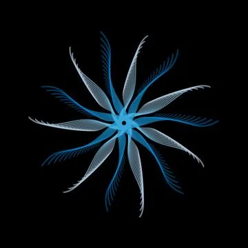 Symmetrical abstract flower-like pattern with twelve curved blue and white .. Stock Illustration