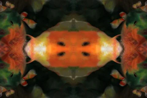 Symmetrical abstract pattern Stock Photos