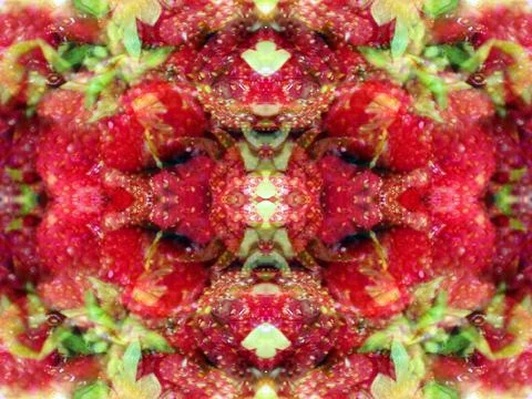 Symmetrical abstract pattern 스톡 사진