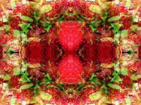 Symmetrical abstract pattern Stock Photos