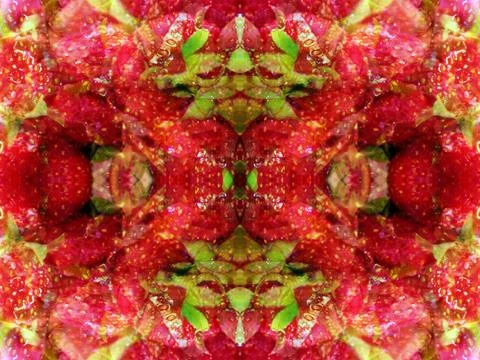 Symmetrical abstract pattern 스톡 사진