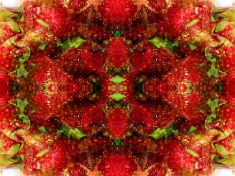 Symmetrical abstract pattern 스톡 사진