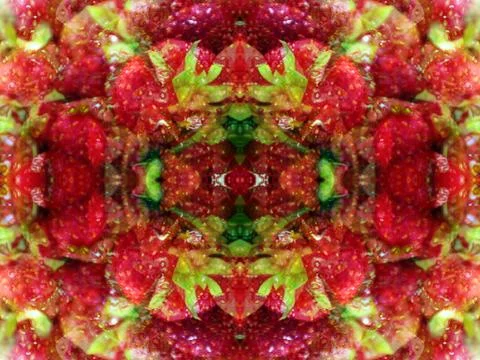 Symmetrical abstract pattern 스톡 사진