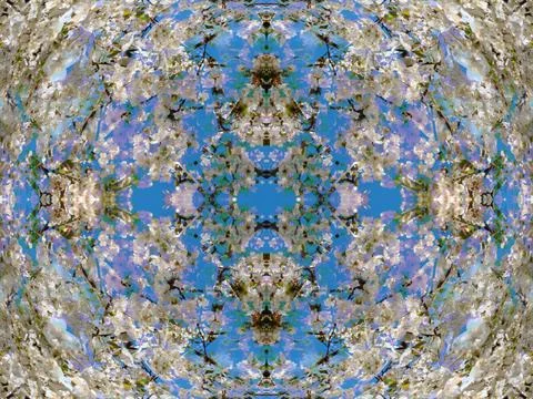Symmetrical background image Stock Photos