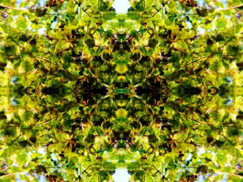 Symmetrical background pattern Stock Photos