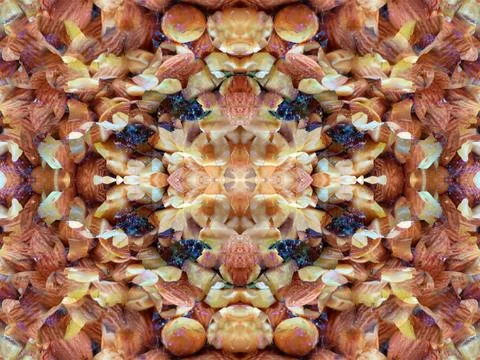Symmetrical background pattern 库存照片