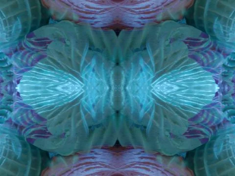 Symmetrical background pattern Stock Photos