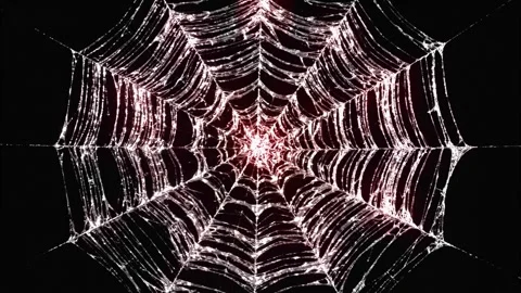 Symmetrical Cobweb Pattern Spreading, Spider Web Opening Screen Animation Stock Footage 341562818