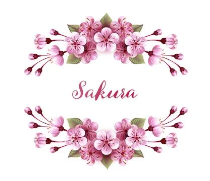 Symmetrical frame of pink sakura Stock Illustration