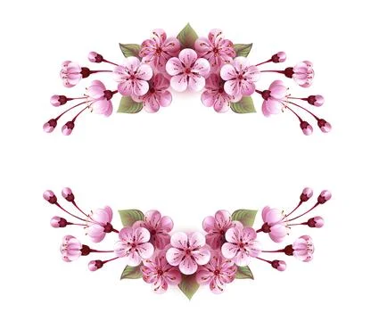 Symmetrical frame of pink sakura Illustrazione stock