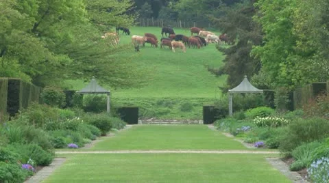 Symmetrical Garden Stock Footage 10762179