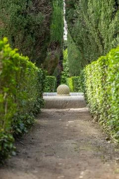Symmetrical garden path with evergreen cypress trees and stone fountain Фото
