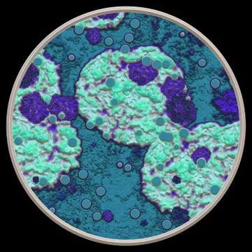 Symmetrical growth of bacteria Stock-Illustration