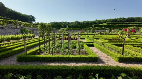 Symmetrical hedges and geometric patterns in the renowned Villandry Gardens Stock Footage 338320205