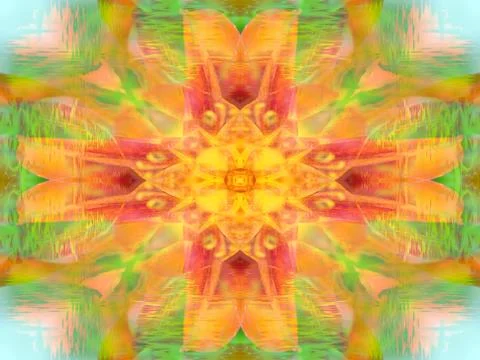 A symmetrical image Stock Illustration