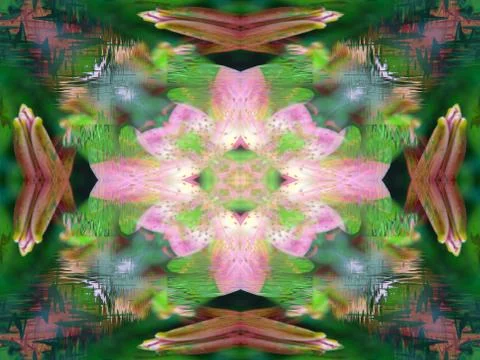 A symmetrical image Stock Illustration