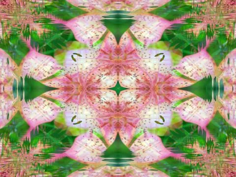 A symmetrical image Stock Illustration