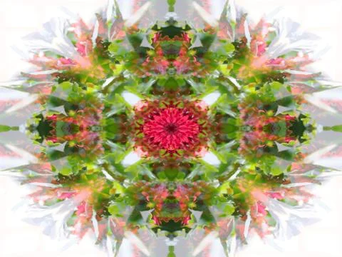 A symmetrical image Stock Illustration