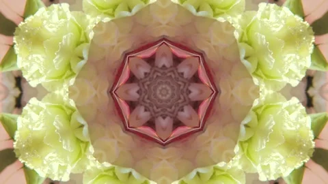 A symmetrical kaleidoscope pattern featuring floral elements Stock Footage 317619954