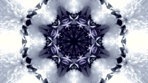 A symmetrical kaleidoscope pattern with floral elements Video stock 317619956