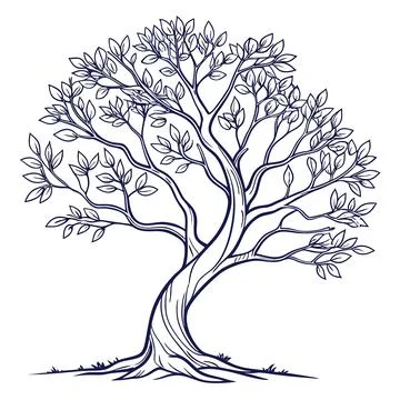 Symmetrical Line Art Tree with Balanced Branches Vector Stock Illustration