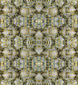 Symmetrical macro pattern created from detailed skin texture and scales of .. Stock Photos