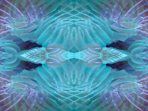 Symmetrical pattern background Stock Photos