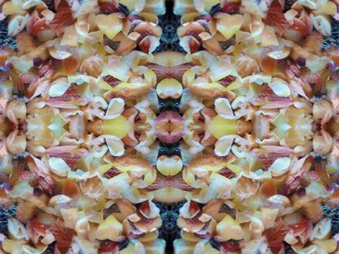Symmetrical pattern background Foto stock