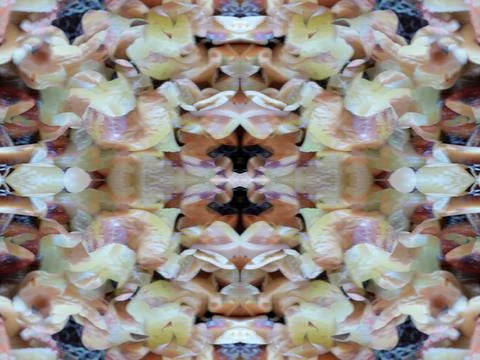 Symmetrical pattern background Stock Photos
