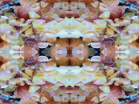 Symmetrical pattern background 스톡 사진