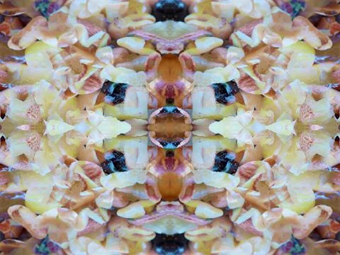 Symmetrical pattern background 스톡 사진