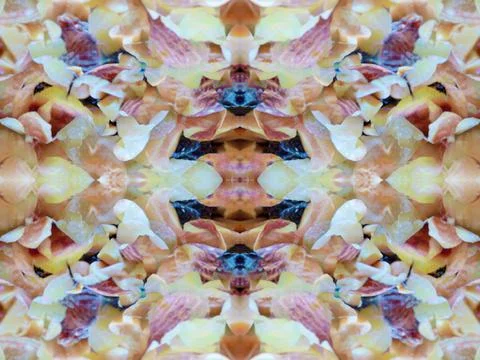 Symmetrical pattern background 写真素材