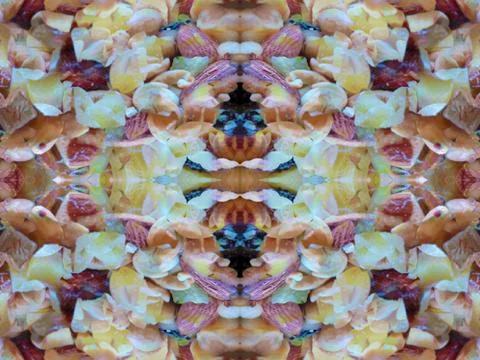 Symmetrical pattern background Stock Photos