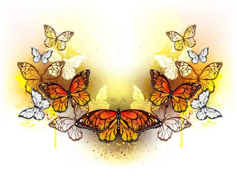Symmetrical pattern of butterflies monarchs Stock Illustration