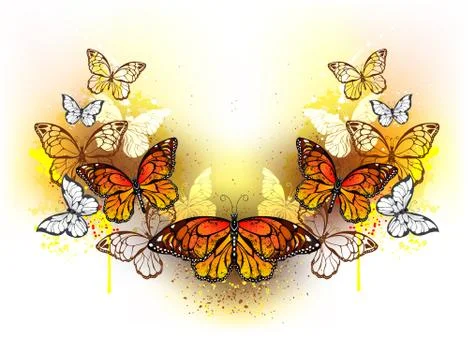 Symmetrical pattern of butterflies monarchs Stock Illustration