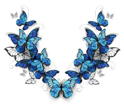 Symmetrical pattern of butterflies morpho Stock Illustration