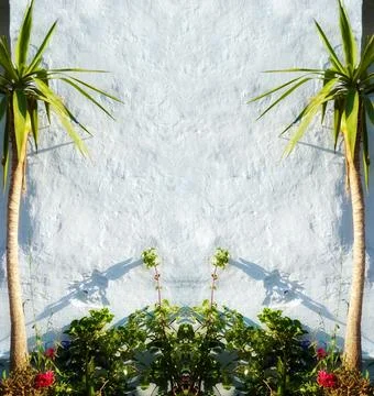 Symmetrical Pattern of Concrete Whitewashed Stucco Rustic Wall with Plants and Foto stock