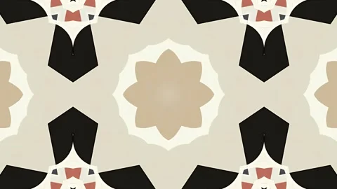 A symmetrical pattern featuring abstract shapes in muted colors, suitable f.. Stock Footage 292595548