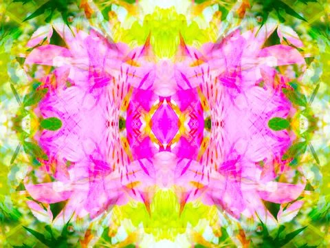 Symmetrical pattern Stock Photos