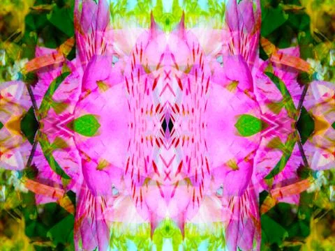 Symmetrical pattern Stock Photos