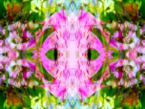 Symmetrical pattern Stock Photos