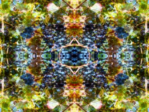 Symmetrical pattern Stock Photos