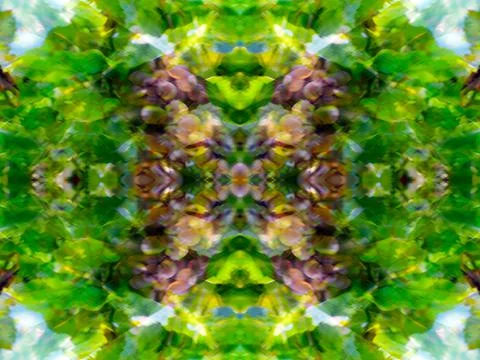 Symmetrical pattern Stock Photos