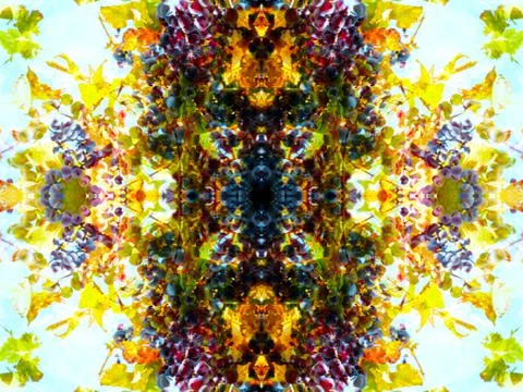 Symmetrical pattern Stock Photos