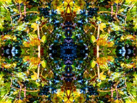 Symmetrical pattern Fotos Stock