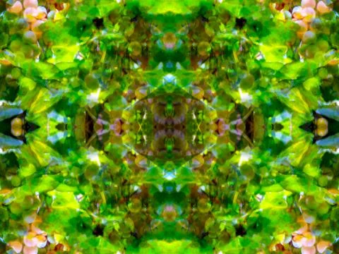 Symmetrical pattern Stock Photos