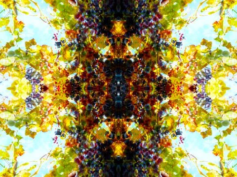 Symmetrical pattern Stockfoto's